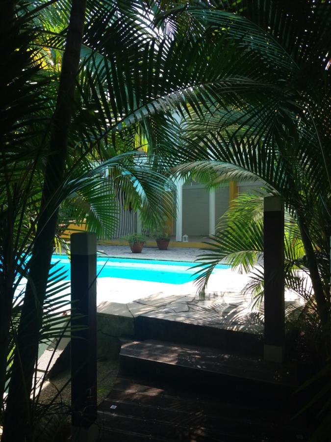 Chambre D'Hote Et Loft Dans Maison De Charme Piscine A Debordement La Villa Gialla Schoelcher Eksteriør billede