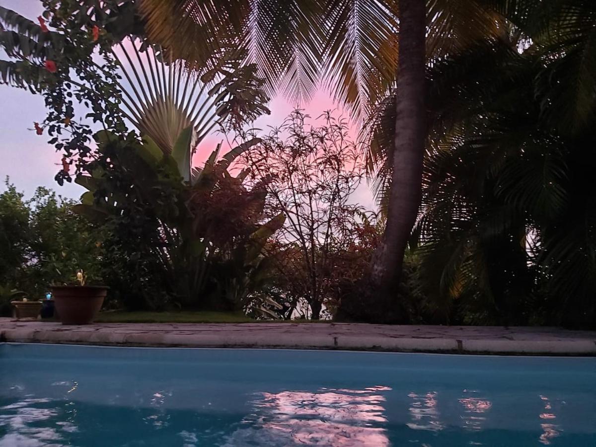 Chambre D'Hote Et Loft Dans Maison De Charme Piscine A Debordement La Villa Gialla Schoelcher Eksteriør billede