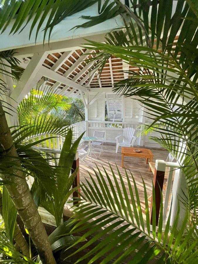 Chambre D'Hote Et Loft Dans Maison De Charme Piscine A Debordement La Villa Gialla Schoelcher Eksteriør billede